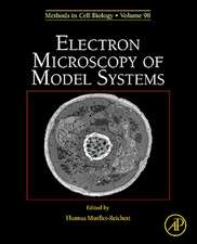 Electron Microscopy of Model Systems