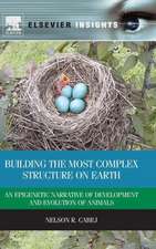 Building the Most Complex Structure on Earth: An Epigenetic Narrative of Development and Evolution of Animals