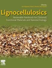 Lignocellulosics: Renewable Feedstock for (Tailored) Functional Materials and Nanotechnology