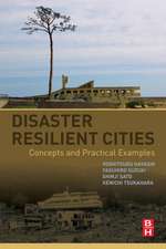 Disaster Resilient Cities: Concepts and Practical Examples