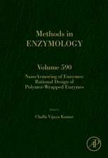 NanoArmoring of Enzymes: Rational Design of Polymer-Wrapped Enzymes