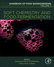 Soft Chemistry and Food Fermentation