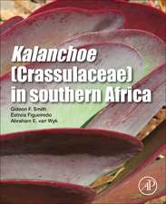 Kalanchoe (Crassulaceae) in Southern Africa: Classification, Biology, and Cultivation