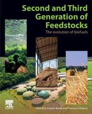 Second and Third Generation of Feedstocks: The Evolution of Biofuels