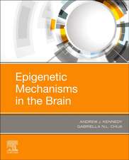 Epigenetic Mechanisms in the Brain