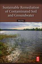 Sustainable Remediation of Contaminated Soil and Groundwater: Materials, Processes, and Assessment