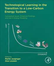 Technological Learning in the Transition to a Low-Carbon Energy System: Conceptual Issues, Empirical Findings, and Use, in Energy Modeling