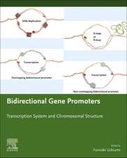 Bidirectional Gene Promoters: Transcription system and chromosomal structure