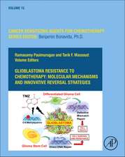 Glioblastoma Resistance to Chemotherapy: Molecular Mechanisms and Innovative Reversal Strategies