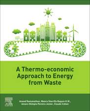 A Thermo-Economic Approach to Energy from Waste