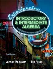 Experiencing Introductory & Intermediate Algebra Through Functions and Graphs