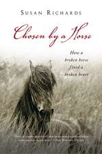 Chosen By A Horse