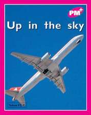 Up in the Sky PM Plus Magenta 1 Fiction