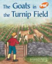 The Goats In the Turnip Field PM PLUS Orange 15