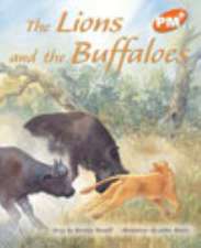 The Lions and the Buffaloes PM PLUS Orange 16