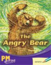 The Angry Bear PM Writing 1 Blue/Green 11/12