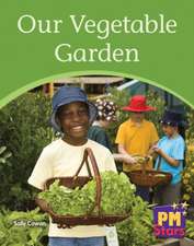 Our Vegetable Garden PM Stars Yellow Non fiction