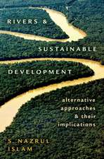 Rivers and Sustainable Development: Alternative Approaches and Their Implications