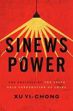 Sinews of Power: Politics of the State Grid Corporation of China