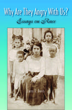 Why Are They Angry With Us?: Essays on Race