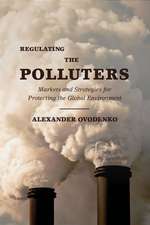 Regulating the Polluters: Markets and Strategies for Protecting the Global Environment