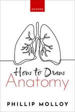 How To Draw Anatomy