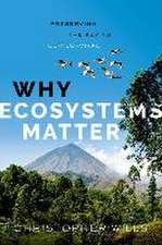 Why Ecosystems Matter: Preserving the Key to Our Survival