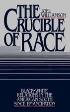 The Crucible of Race: Black/White Relations in the American South since Emancipation