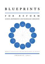 Blueprints for Reform: Science, Mathematics, and Technology Education