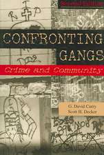 Confronting Gangs: Crime and Community