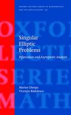 Singular Elliptic Problems: Bifurcation & Asymptotic Analysis