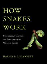 How Snakes Work