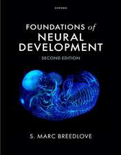 Foundations of Neural Development