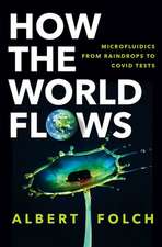 How the World Flows