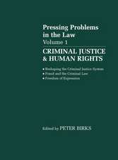 Criminal Justice and Human Rights: Pressing Problems in the Law, Volume 1