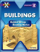 Project X: Buildings: Teaching Notes