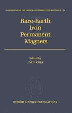 Rare-earth Iron Permanent Magnets