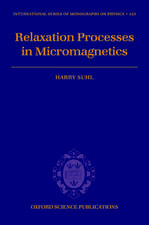 Relaxation Processes in Micromagnetics