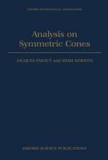 Analysis on Symmetric Cones