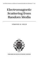 Electromagnetic Scattering from Random Media