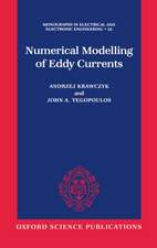 Numerical Modelling of Eddy Currents