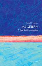 Algebra: A Very Short Introduction