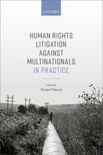 Human Rights Litigation against Multinationals in Practice