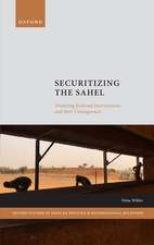 Securitizing the Sahel: Analysing External Interventions and their Consequences