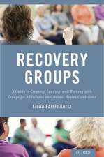 Recovery Groups: A Guide to Creating, Leading, and Working With Groups For Addictions and Mental Health Conditions