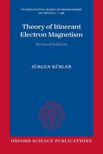 Theory of Itinerant Electron Magnetism