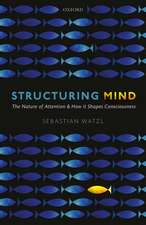 Structuring Mind: The Nature of Attention and how it Shapes Consciousness