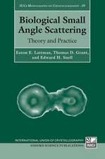 Biological Small Angle Scattering: Theory and Practice