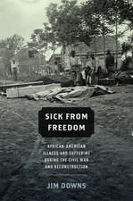 Sick from Freedom: African-American Illness and Suffering during the Civil War and Reconstruction