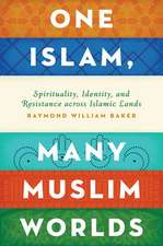 One Islam, Many Muslim Worlds: Spirituality, Identity, and Resistance across Islamic lands